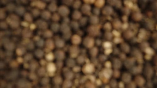 Closeup View of Many Whole Black Peppercorns