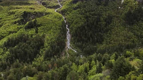 Aerial Beautiful Mountain River Among Coniferous Forest