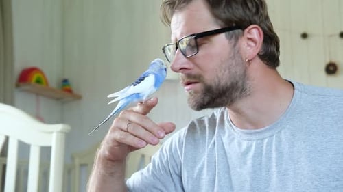Man Interacts with Blue Parakeet Perched on Finger