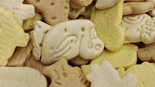 Dog Biscuits