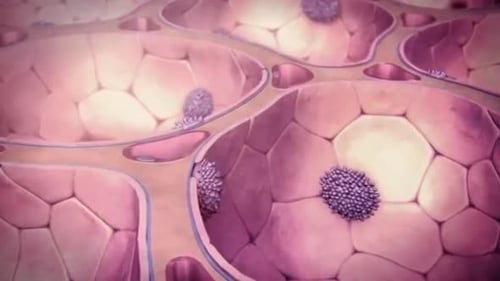 Animated Microscopic Cells for Medical Science Background
