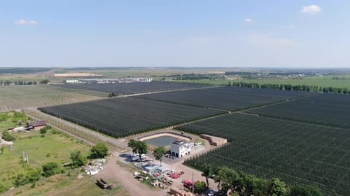 La caméra fait un zoom arrière sur un immense verger de pommiers moderne, par une journée ensoleillée, 4k