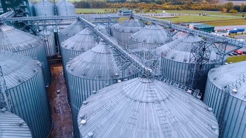 Silo tanks group for grain storage. Harvesting and processing crops at the agricultural field