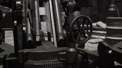 Cannon Gun in the City