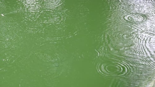 Gouttes de pluie moyennes tombant à la surface d'une piscine.