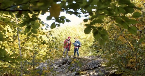 Full Length View of Happy Caucasian Couple of Hikers Walking Outdoor in Forest People Looking for