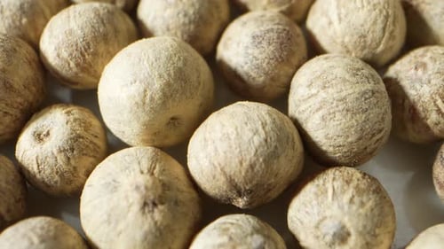 White peppercorns are matured, dried berries of the pepper plant.