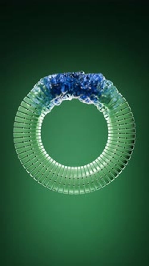 Renderização 3D do caminho de deformação do toro