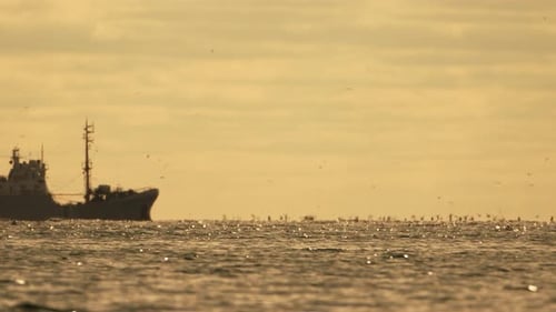 Abstract Sea Ocean Sunset Nature Background with Seagulls and Fishing Boat Trawler Catches Fish