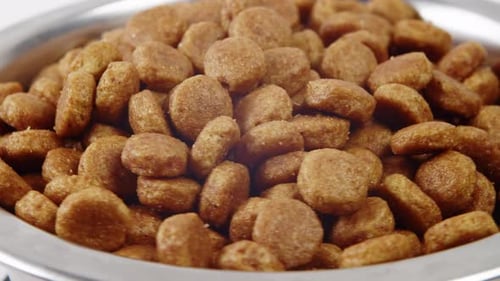 Dog Food Pellets in Stainless Steel Bowl