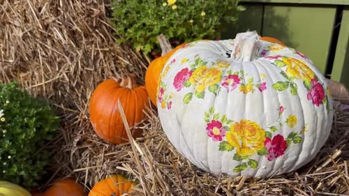 Decorative Pumpkins on Straw Bales