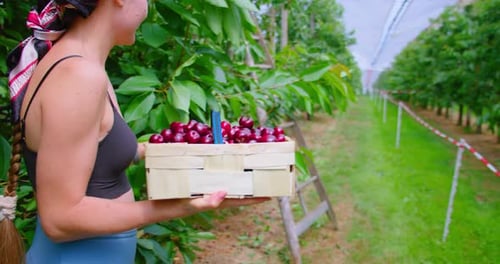 Harvesting