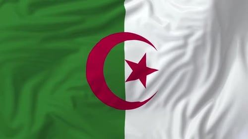 Waving Algerian Flag Loop with Realistic Fabric Texture