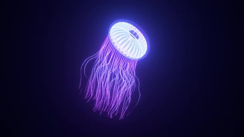 3D Holographic Neon Jelly Fish Infinite Loop