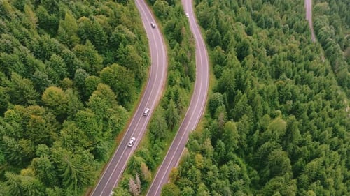 Cars driving on winding mountain road through lush green forest