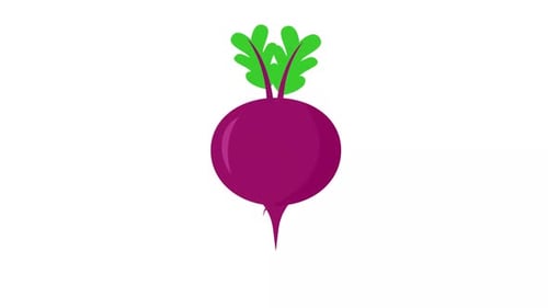 Animated Flat Design Beetroot Growth Icon