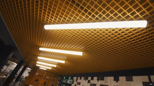 Long Led Lamps Installed on Ceiling Grid in Cafeteria