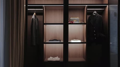 Elegant Contemporary Wardrobe Interior Design