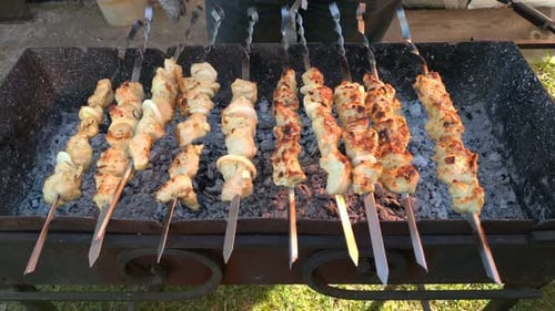 Meat Skewers Grilling on a Barbecue Grill