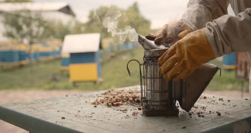 Close Up View of Bee Smoker is on the Hive