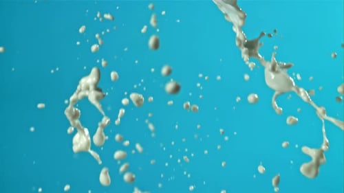 Milchspritzer auf blauem Hintergrund, gefilmt mit einer Hochgeschwindigkeitskamera mit 1000 Bildern pro Sekunde