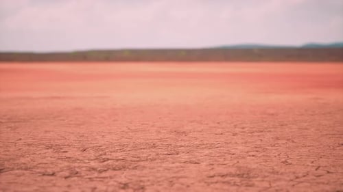 Cracked Earth Surface Drying Time-lapse Animation