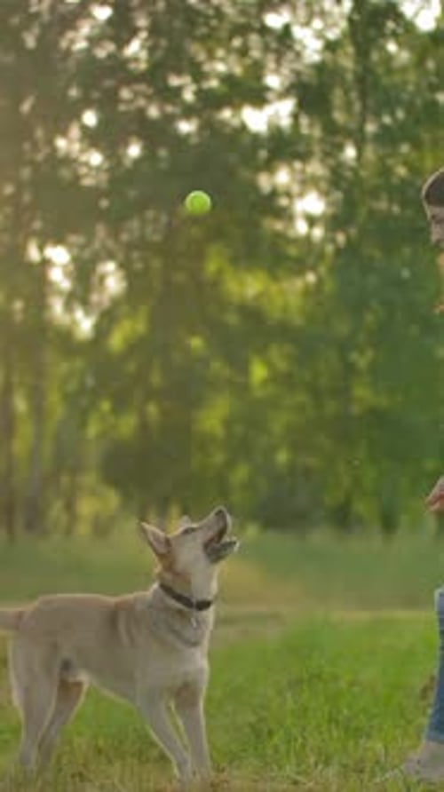 Woman Playing Fetch with Her Dog Outdoors