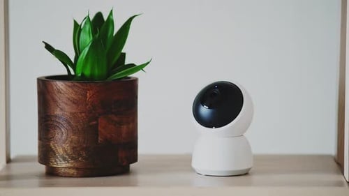 Rotating Camera Surveillance System Next to Plant