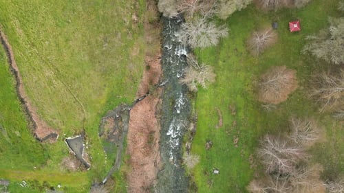 Aerial view of River Mondego flowing through green fields and trees in early spring