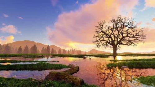 Tree silhouetted against bright purple sky - HD