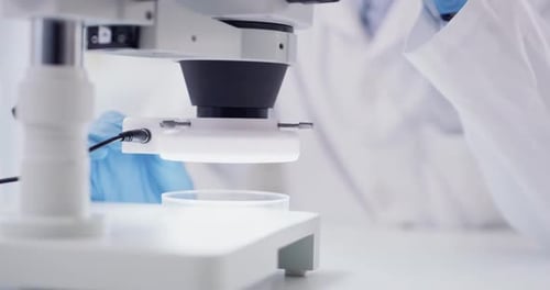 Scientist Using Microscope To Analyze Sample in Lab