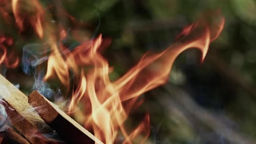 Brennende Holzzweige, Feuer und Rauch in der Natur 5