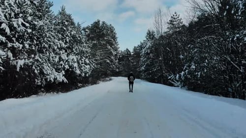 Man Walking In Winter Pine Forest