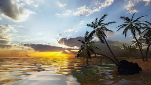 Sunrise On Tropical Island Sea Beach, Calm Ocean Sunset, Palm Tree Leaves Silhouette
