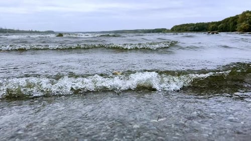 Little waves on the river rolling to the shore. Forest growing on the waterfront at backdrop.