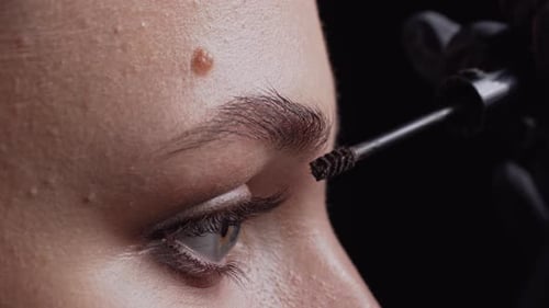 Professional Eyebrow Makeup