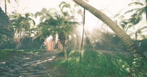 Sunbeams Through Tropical Palm Trees in Lush Jungle Forest