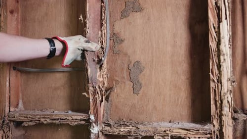 Look how easily a wall falls apart after a termite infestation. It can be crumbled by hand.