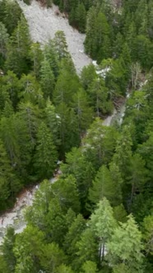 Vertical Video Cinematic Winter in Turkish Mountains Aerial View of Forest River and Serene