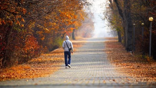 A man with hoody is walking in a autumn park with a grey coat and jeans
