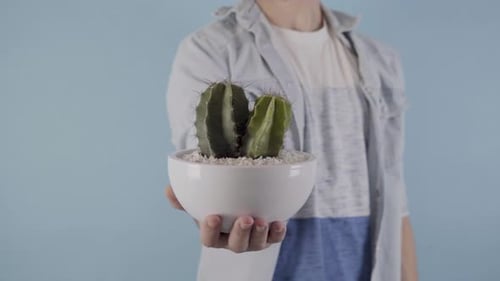Close Up of Man Holding Planted Cactus in One Hand