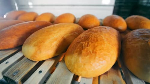 Bread Is On The Shelves In The Bakery