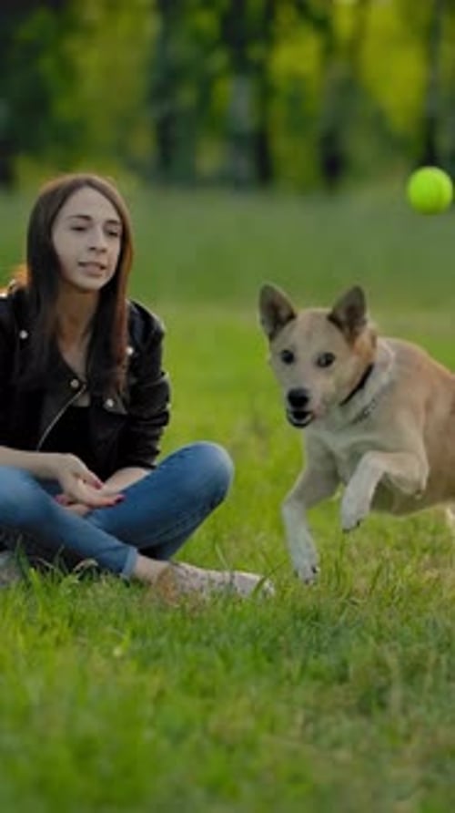 Woman and Dog Playing Fetch in Green Park
