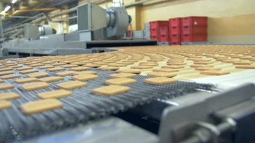 lots of square cookies on the conveyor belt