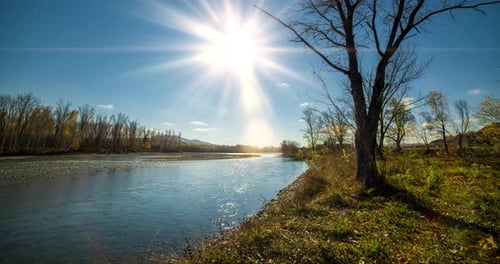 Mountain River Timelapse at the Summer or Autumn Day Time Wild Nature Clear Blue Water and Dry Trees
