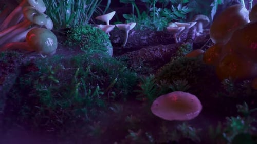 Hongos alucinógenos en casa, laboratorio, granja, luz colorida de neón, hongos nocturnos