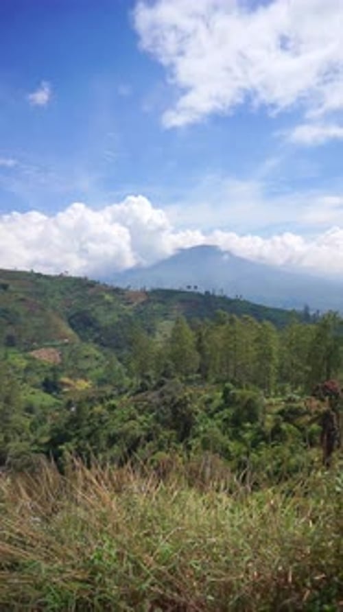 beautiful vertical video portrait beautiful mountain natural scenery hilly nature panorama