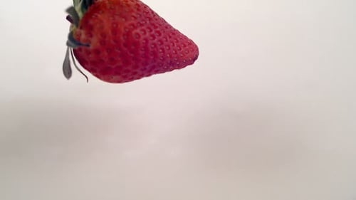 Strawberry Splashing Into Milk, Super Slow Motion. Shot With Phantom Camera At 6900 Frames Per Se...