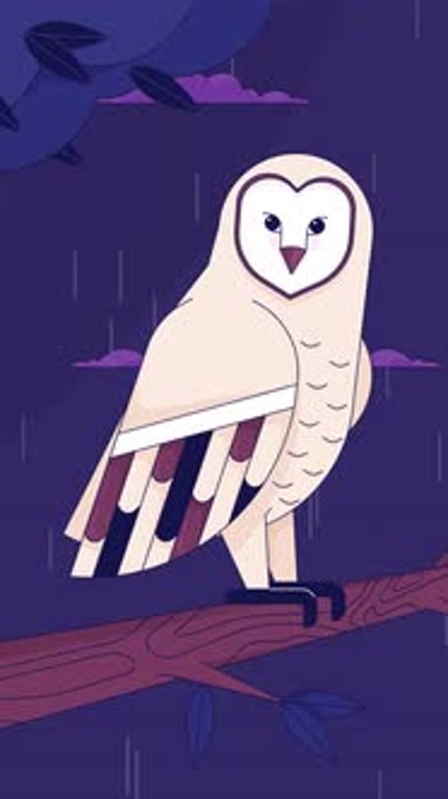 Rainy night owl lofi wildlife vertical animation