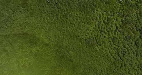 Bird's Eye View Of Countryside Grassland At Daytime In Summer. - aerial
